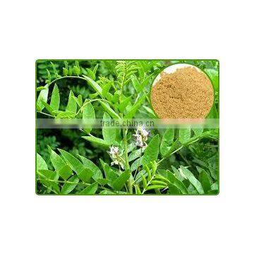 Glycyrrhiza Glabra photo-2
