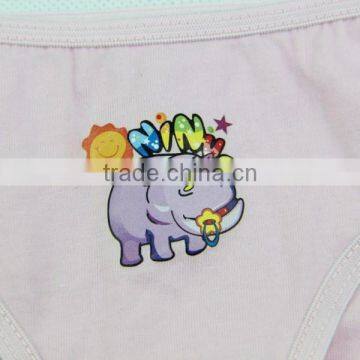 Children's Underwear Models Teen Underwear Girl Sexy Underwear photo-3