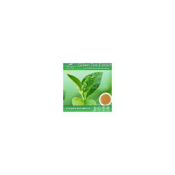 Green Tea Extract 30% L- Theanine