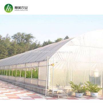 Hot Sale Commercial Polycarbonale Small Single Span Greenhouse photo-4
