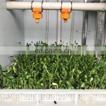 Hot Sale High Quality Barley Grass Growing Machine photo-5