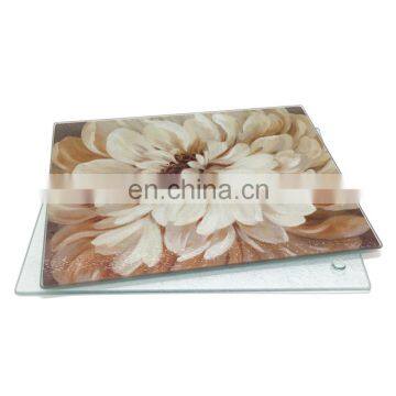 Low Price 400x300mm Clear Tempered Glass Cutting Boards for Kitchen Glass Art