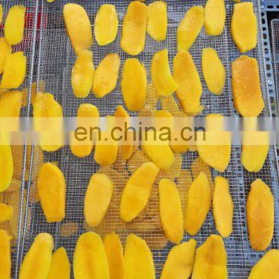 Vietnam Soft Dried Mango 100% Natural Mango photo-2