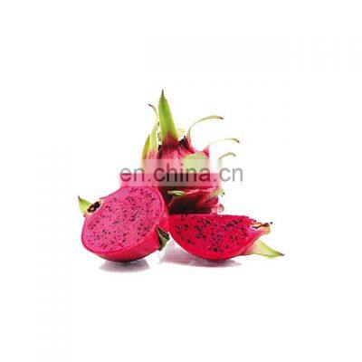 Freeze Dried Red Pink Pitaya Fruit Powder photo-2