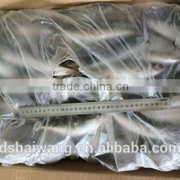 Frozen Horse Mackerel for Sale photo-2