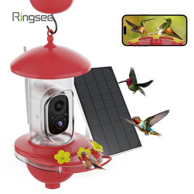 Ringsee Bird Feeder Camera COMS 2.4G WIFI 1080P Cloud Storage Night Vision Smart Bird Feeder Camera