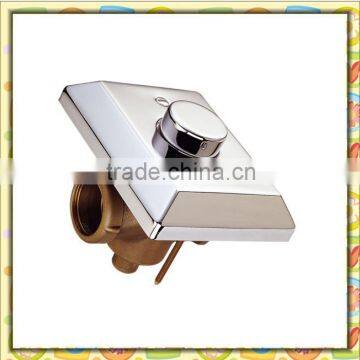 squat toilet with flush push button