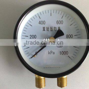 Double needle pressure gauge with