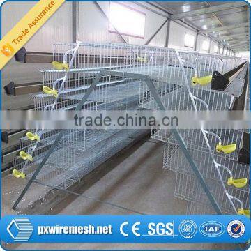 hot-dipped galvanized quail cage