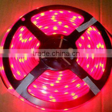 2.4W 3528 LED Flxible Strip Light with CE ROHS