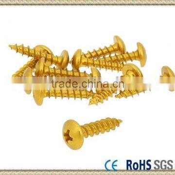 Screw Set Panel Gold 5x20 Pan Head Philips Self tapping Screw