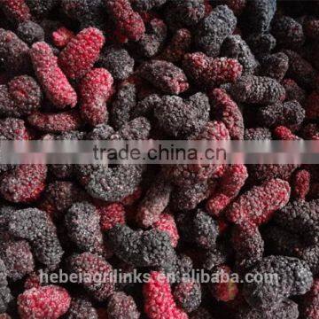 Frozen style fresh Chinese mulberry