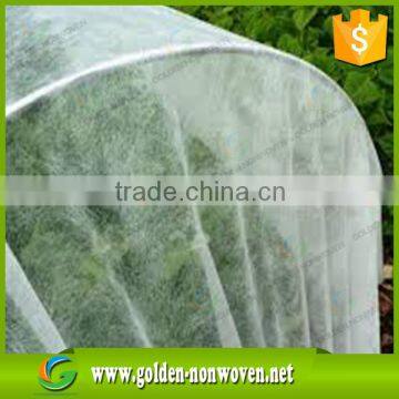 Low MOQ Nonwoven Fabric Plant Cover /non Woven Banana Protection Bag photo-3