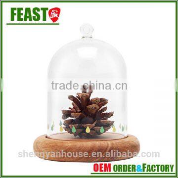 Bell Jar With Wooden Base Clear Glass Dome Stand