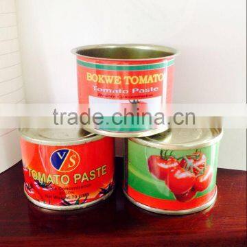 70g Canned Tomato Paste, Sachet Tomato Paste.Tomato Sauce, ketchup.