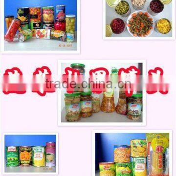 canned tomato sauces 28-30recipes well sell in africa