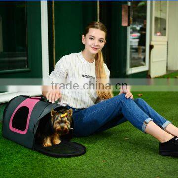 airline pet carrier small