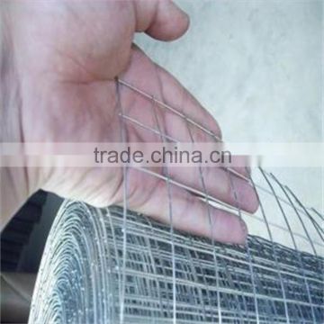 Hot-dipped Galvanized Welded Wire Mesh Factory