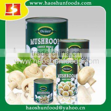 HACCP Apprival Canned Whole Mushroom