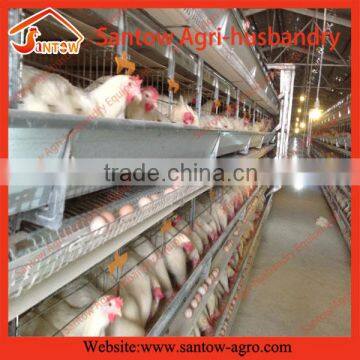 automatic large-scale chicken egg cage for good sale