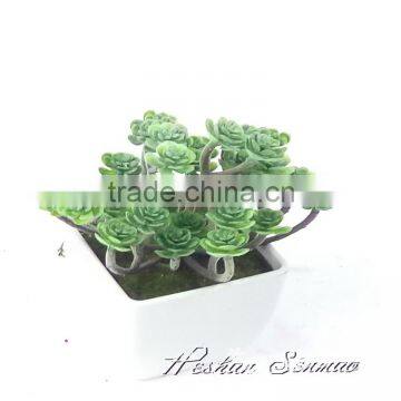 Cheap decoration artificial succulent plant high quality potted plant for decoration