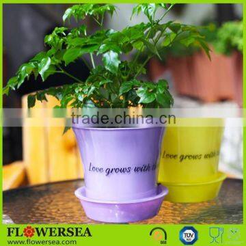 Factory price best selling glass flower pot for home and garden decoration