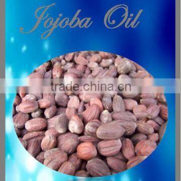 Top Quality & Competitive Price of Jojoba Oil - Refined