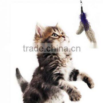 QQPET Wholesale Cheap Cat Toy Funny Fishing Cat Rod Telescoping Cat Teaser Toys photo-4