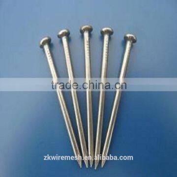 Galvanized Common Nails/Common Wire Nails/Iron Nails