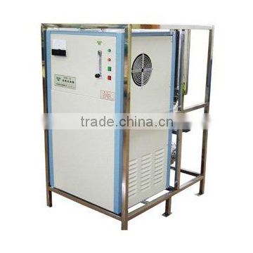 ozone water treatment device for swimming pool