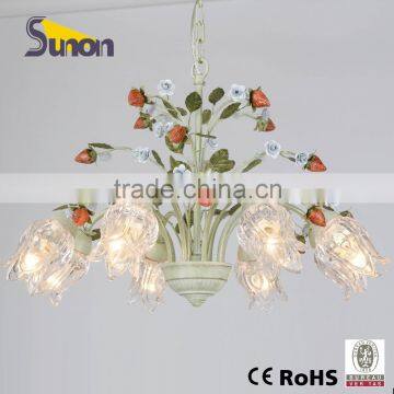 SD1111-8 Wrought Iron Lighting /Countryside Style Lamp /Girl Room Decorative Lighting