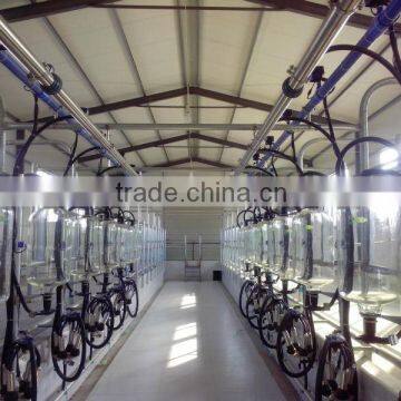 9JY fish bone automatic milking hall for cow