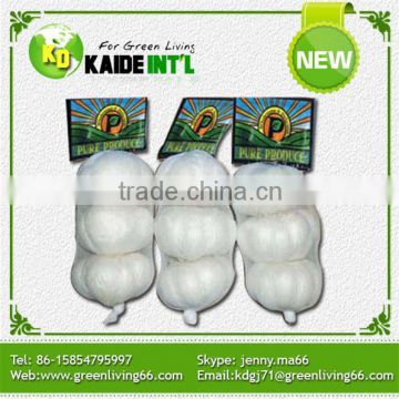 Import China Garlic