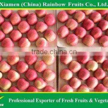 Chinese Fresh Red Fuji Apple