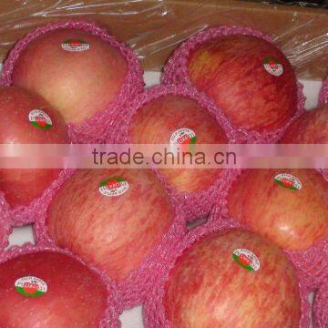 china fresh red fuji apple