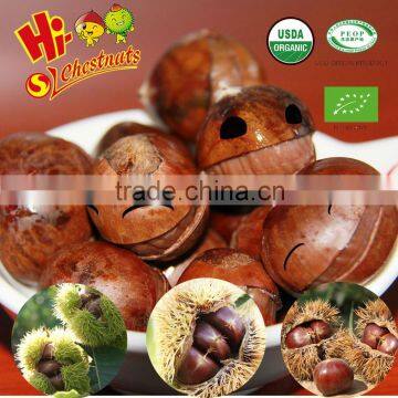 Natural Sweet Chinese roasted Chestnuts Snacks--ready to eat healthy nuts snacks