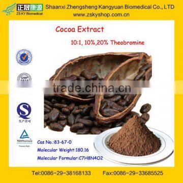 GMP Manufacturer Supply Natural Cocoa Extract Powder