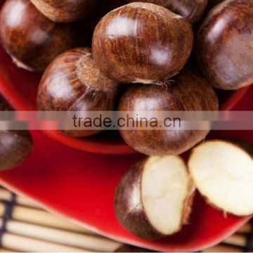 2014 new fresh Chinese chestnuts sweet easy peeling