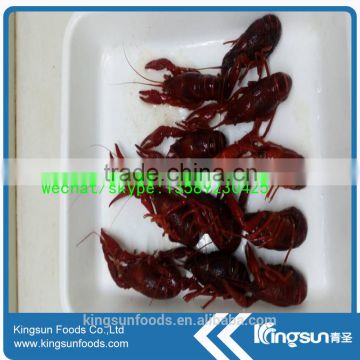 Best supplier Frozen water cooked crayfish / crawfish