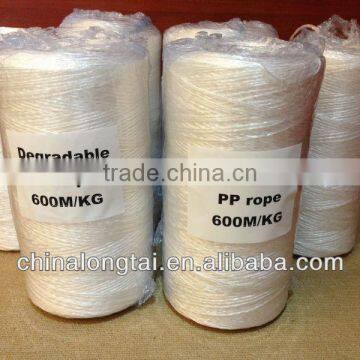 cheap biodegradable for agriculture baler twine factory