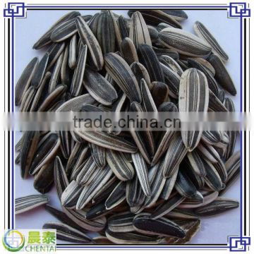 Supply American Hulled Big Size 24/64 Sunflower Seed