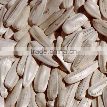 White Sunflower seeds from Turkey all size