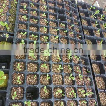 Hydroponics Growing Media Vermiculite for Horticulture photo-2