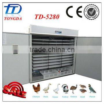 TD-5280 hold 5000 eggs automatic chicken egg incubator