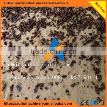 Stainless Steel Cocoa Bean Peeling Peeler Machine on Sale photo-3