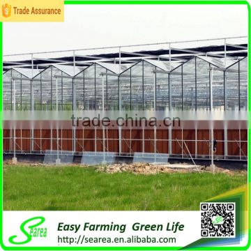 High quality glass commercial greenhouse in steel structure