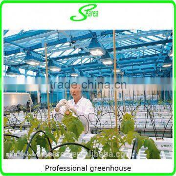 Professional Greenhouse Project Commercial Hydroponic Systems photo-6