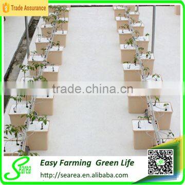 Holland Bucket Hydroponic System photo-3