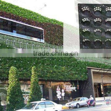 Types of Ornamental Plants Hydroponics Equipment Flowerpot