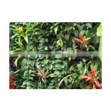 Home and Outdoor Decoration Synthetic Cheap Artificial Vertical Green Grass Wall E08 04Q85 photo-6